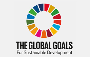 I 17 Obiettivi di Sviluppo Sostenibile delle Nazioni Unite