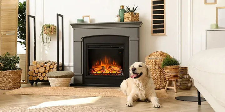 TAGU camino elettrico