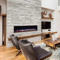 Camino elettrico sottile Premier